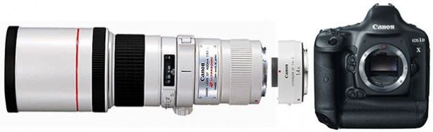 Canon EOS 1D X bez autofokusu z niektórymi obiektywami 1