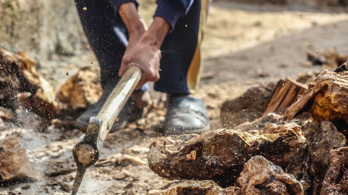 Zdjęcie ilustracyjne.