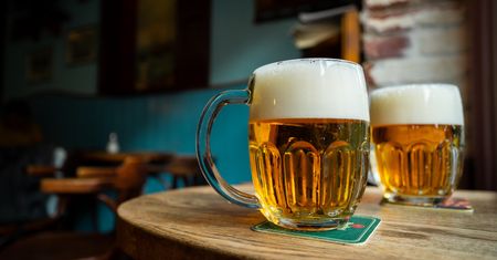 Biedronka z wyjątkową promocją. Aż 12 piw za darmo!
