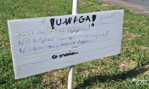 Stanęły w Poznaniu. "Nie dotykać". Ujęcia obiegają sieć