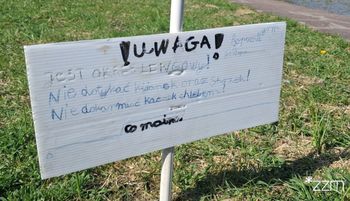 Stanęły w Poznaniu. "Nie dotykać". Ujęcia obiegają sieć