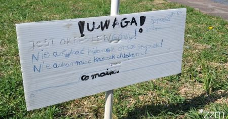 Stanęły w Poznaniu. "Nie dotykać". Ujęcia obiegają sieć
