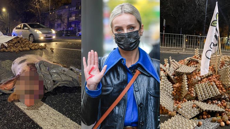 Agnieszka Woźniak-Starak oburzona martwą świnią na ulicy 