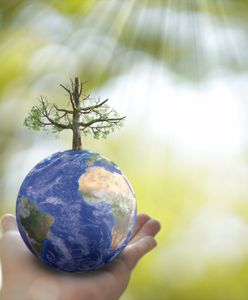 Wrocław. Wsparcie dla działań ekologicznych. Podzielono granty