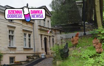19 ptaków dostało nowe życie. Niezwykły pomysł pod Wrocławiem