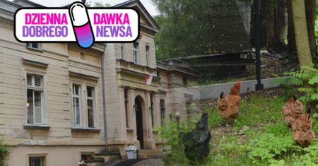 19 ptaków dostało nowe życie. Niezwykły pomysł pod Wrocławiem
