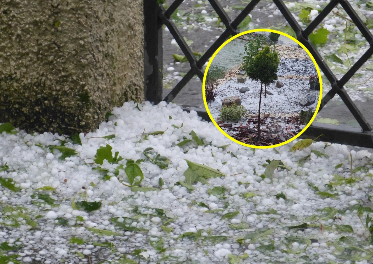 Superkomórka burzowa. Uderzył grad na Podkarpaciu