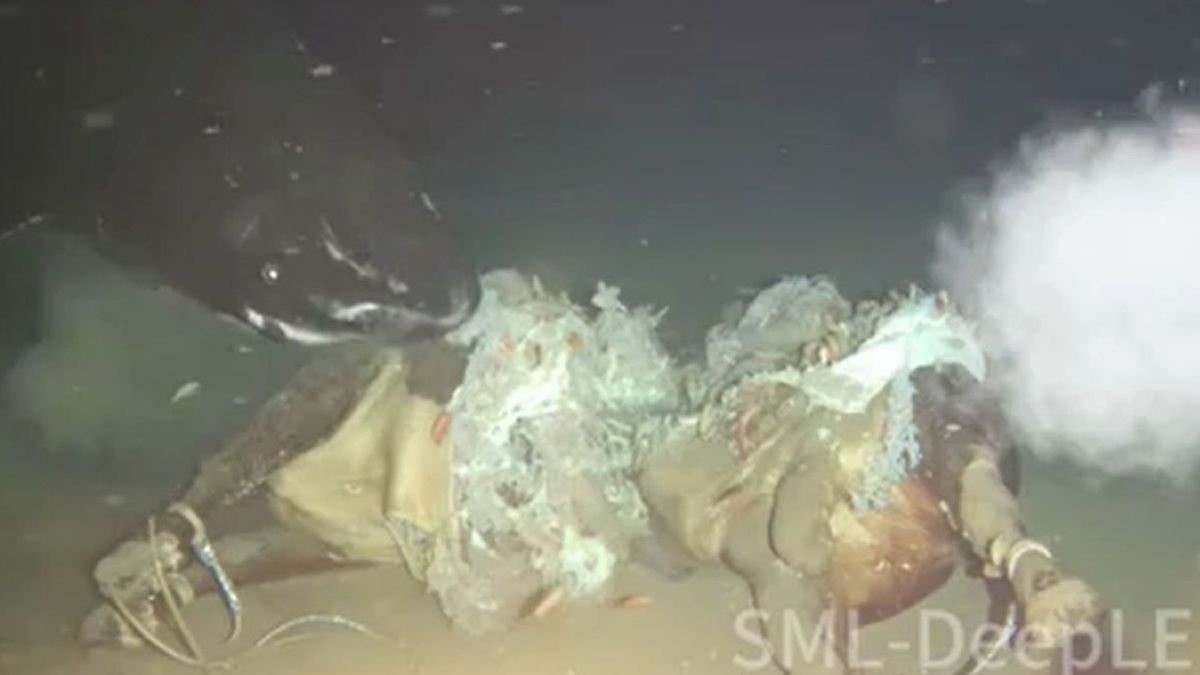 Niezwykły eksperyment chińskich naukowców