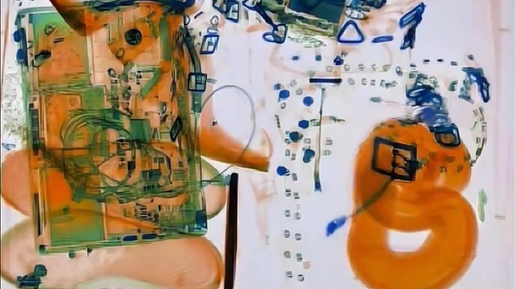 Kobieta oświadczyła, że...wąż jest jej wsparciem emocjonalnym!