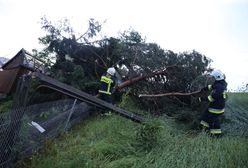 Śląskie. Deszcz i wichury. Strażacy mieli pełne ręce roboty