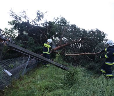 Śląskie. Deszcz i wichury. Strażacy mieli pełne ręce roboty