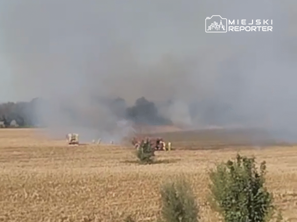 Pożar trawy na polu, w tle widoczne samochody strażackie i chmurki dymu unoszące się w powietrzu.