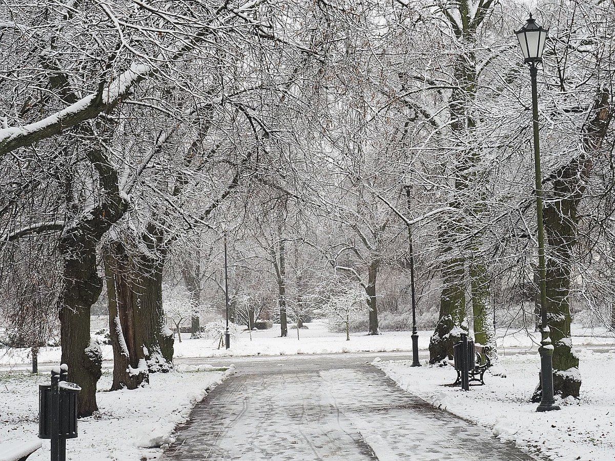 Od gołoledzi po atlantycki powiew. Weekend pełen zmian w pogodzie