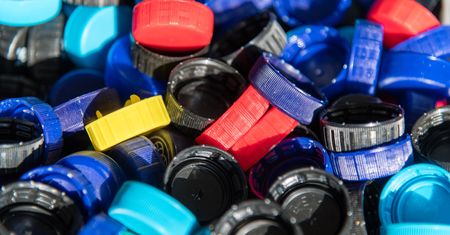 Morze wyrzuciło zwłoki wieloryba. Połknął aż 16 kilogramów plastiku