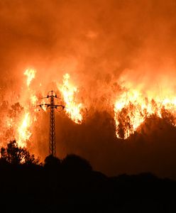 Pożary w Arktyce. Niepokojące zjawiska nasilą się