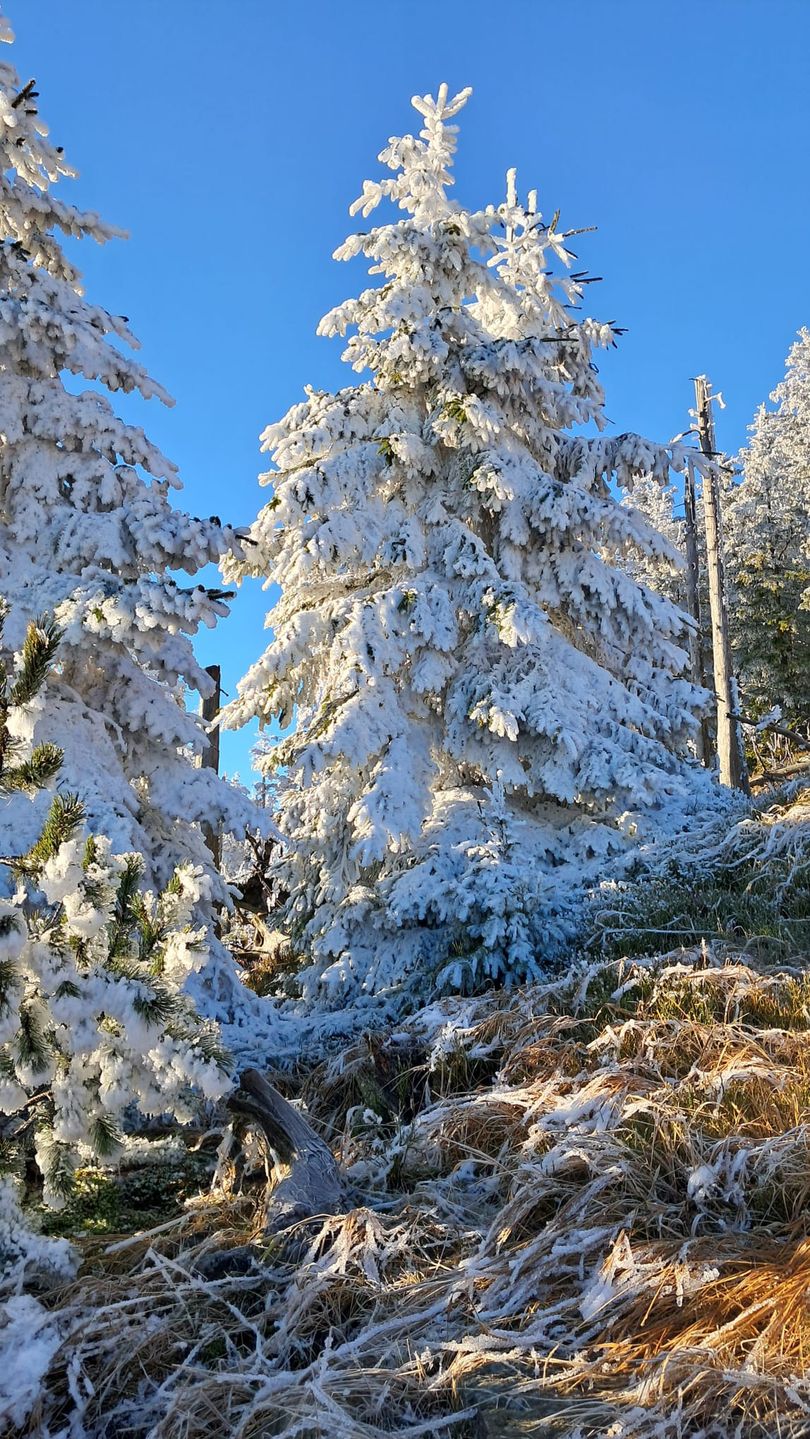 Przygotowania do sezonu zimowego ruszyły pełną parą