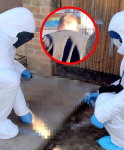 Pobita żona kilka godzin leżała przed domem. Nocą wciągnął ją do środka