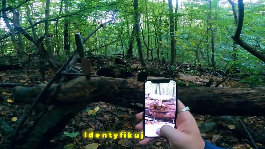 Zbieranie grzybów według Genzie. Coś poszło nie tak