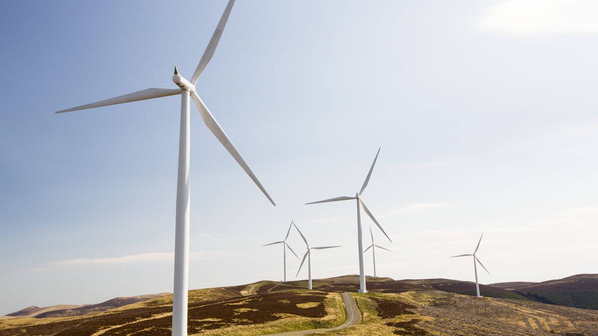 Czy energia wiatrowa jest zielona? 