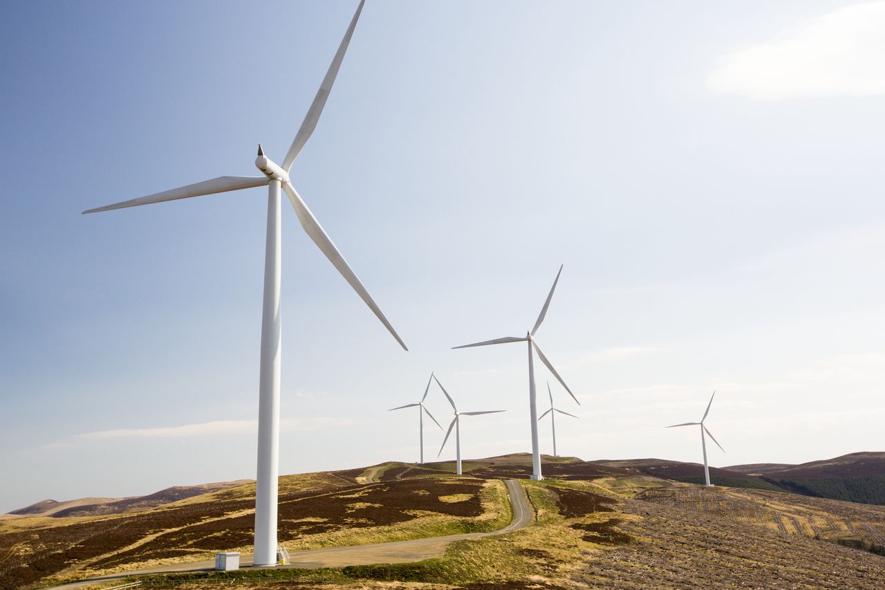 Czy energia wiatrowa jest zielona? 