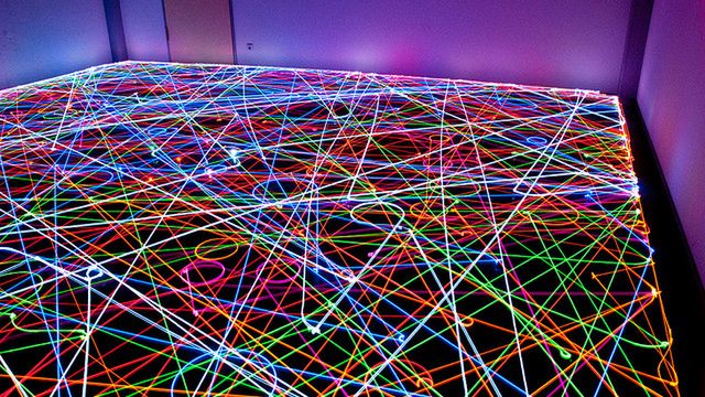 Co przedstawia to zdjęcie? 1