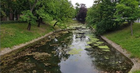 Wrocław. Mężczyzna topił się w fosie. Błyskawiczna akcja policji