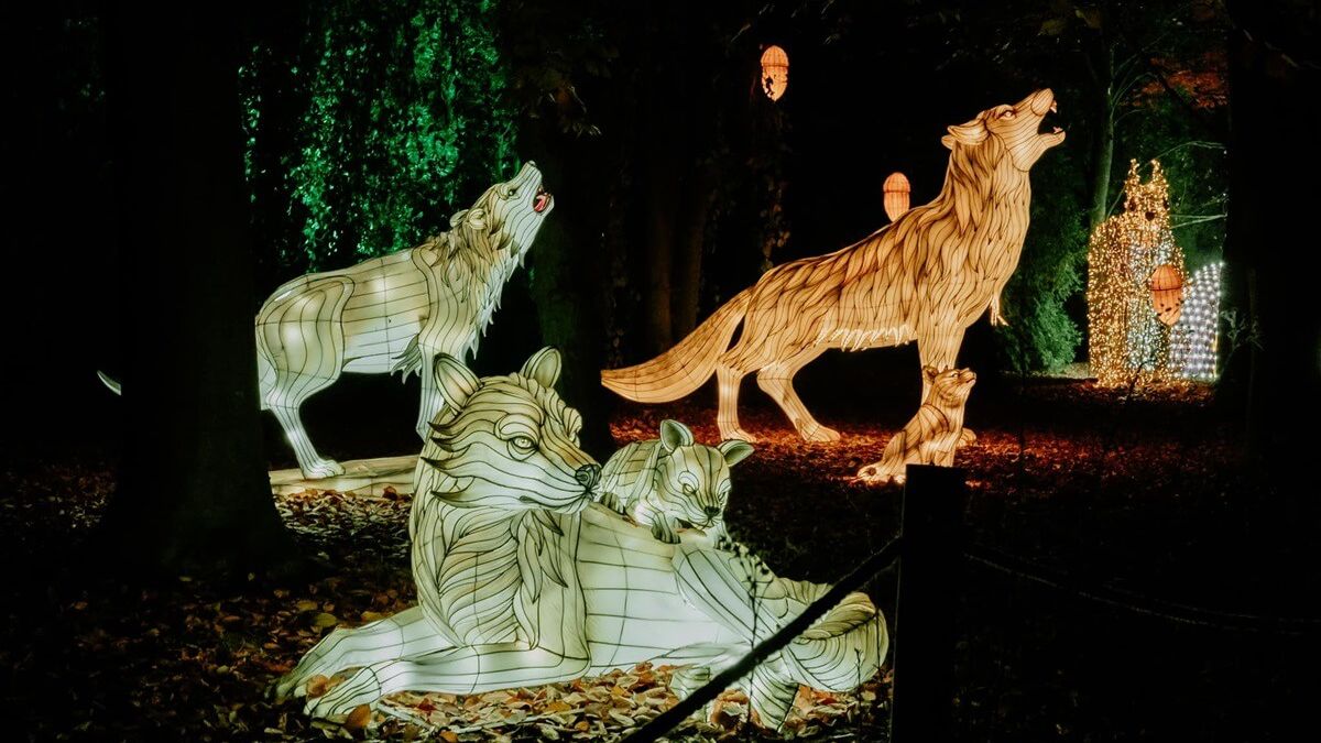 Lumina Park Lublin w Ogrodzie Botanicznym UMCS