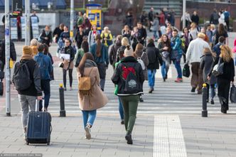 Płace Polaków spadają w połowie branż. "Siła negocjacyjna pracowników osłabia się"