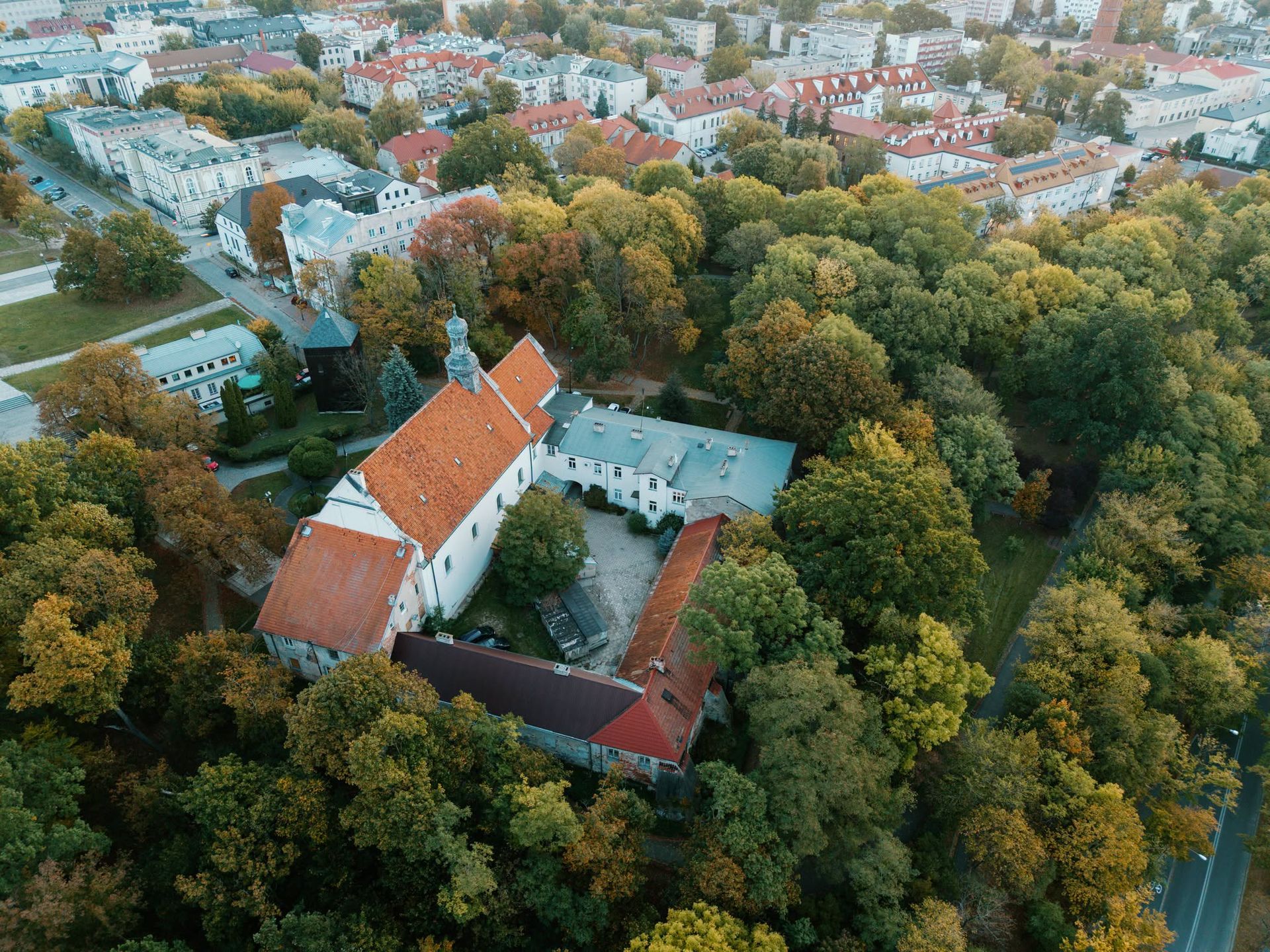 Płock zadba o 270 drzew 