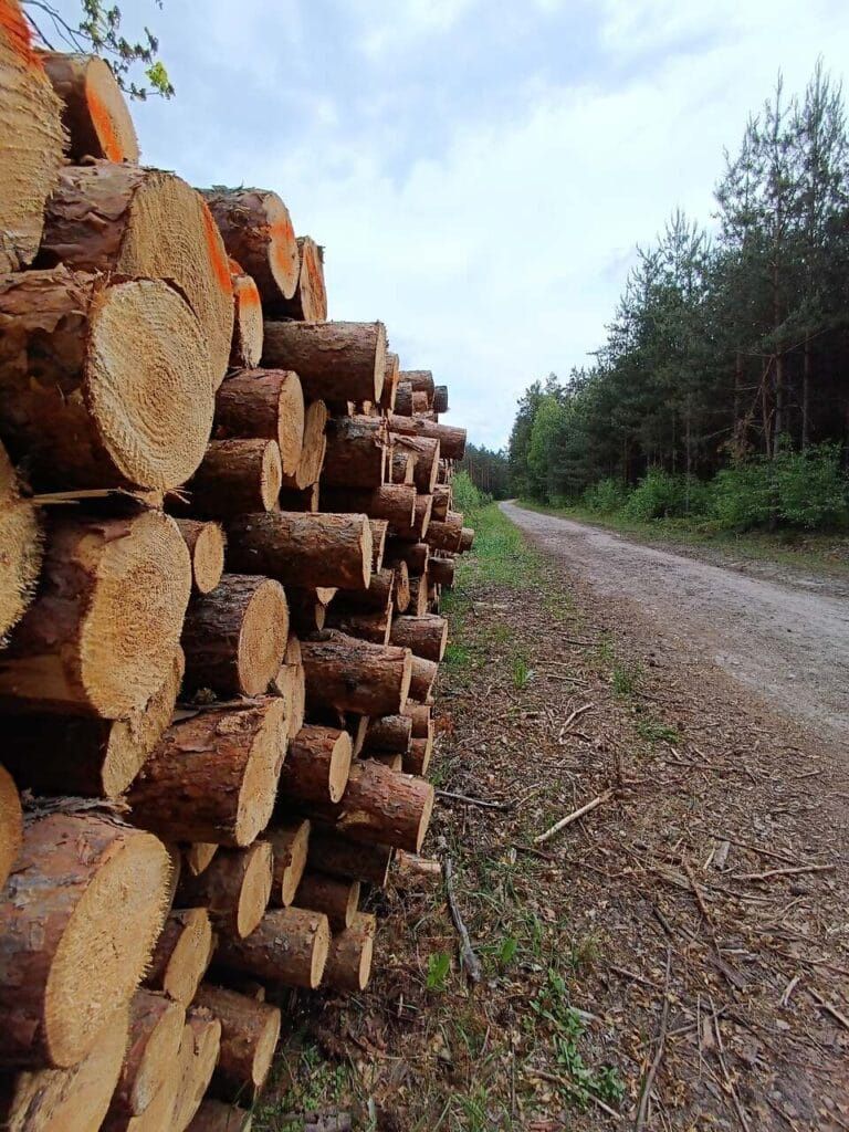Park Krajobrazowy Lasy nad Górną Liswartą