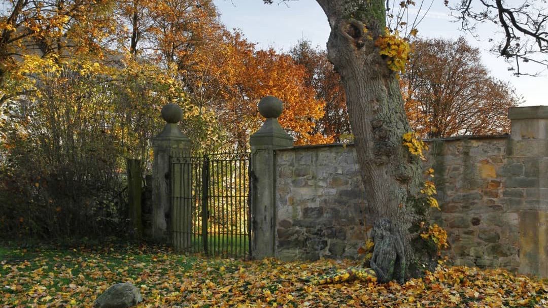 Na zdjęciu ukryła się naga kobieta