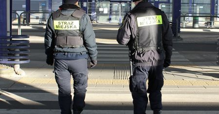 Dają nawet 5 tys. zł na początek. Szukają rąk do pracy