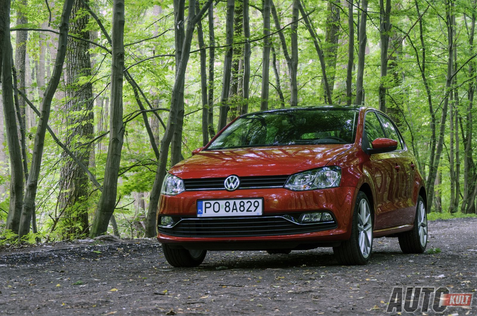 Volkswagen Polo FL 1,2 BlueMotion Highline - test [galeria zdjęć] 5