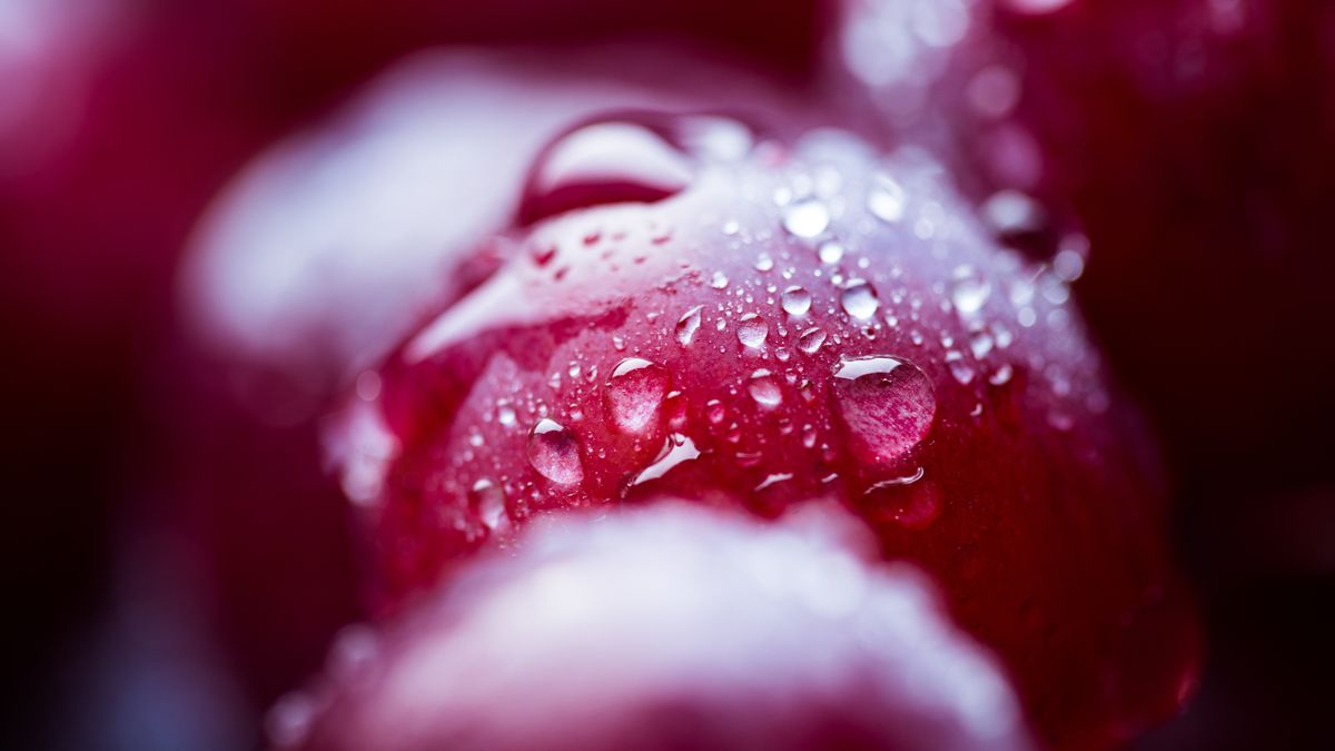 Jakie owoce pomagają na ból stawów?