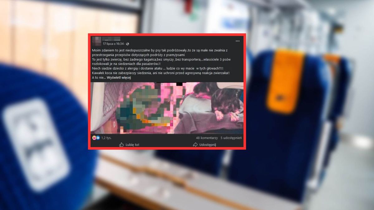 Pasażerka PKP Intercity oburzona widokiem na pociągu