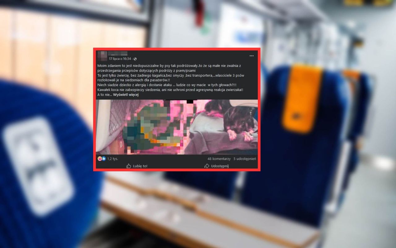 Pasażerka pociągu oburzona. Spójrzcie na siedzenia. "Niedopuszczalne"