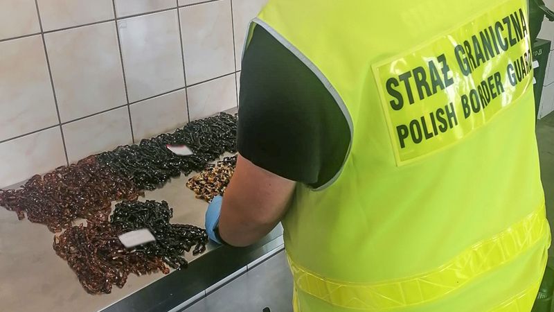 Rosjanie wpadli z kontrabandą 