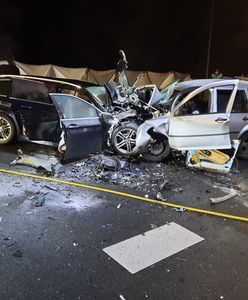 Jechał pod prąd na autostradzie. Zginęła dwójka dzieci w Holandii