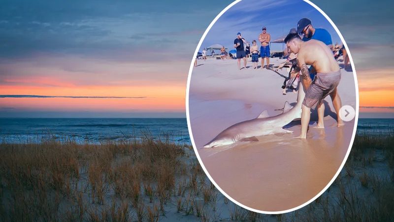 Mężczyzna złowił rekina na plaży Smith Point w Nowym Jorku