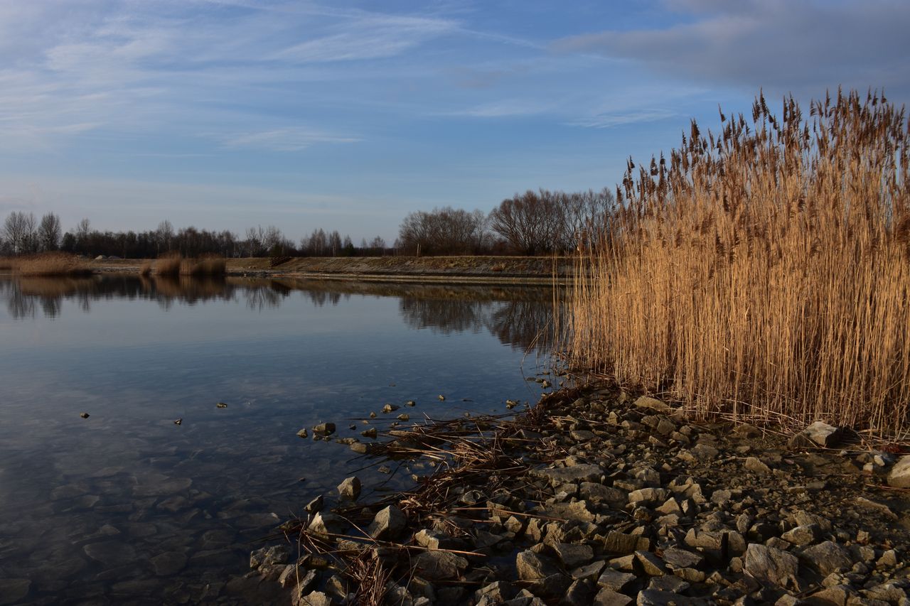 Tarnobrzeg: Festiwal Lodu i Ognia nad Jeziorem. Akcja charytatywna