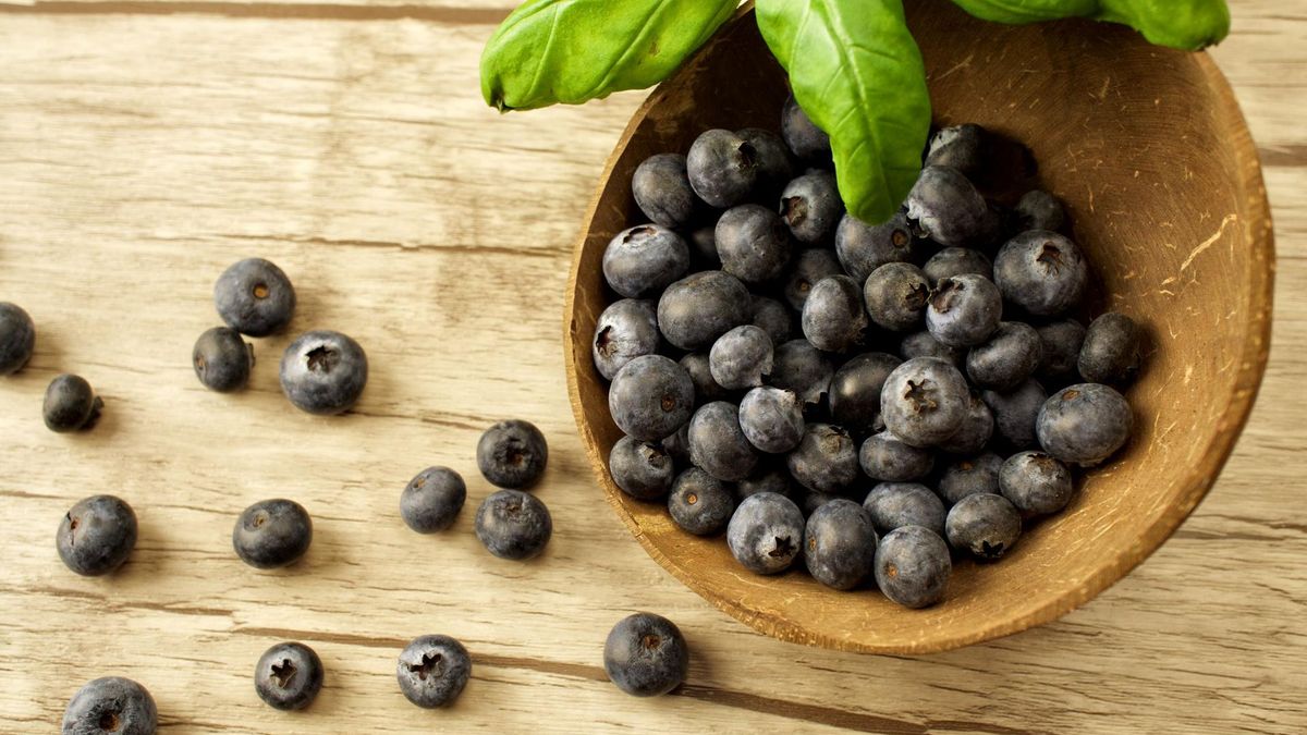 Jagody Maqui są pełne cennych antocyjanów