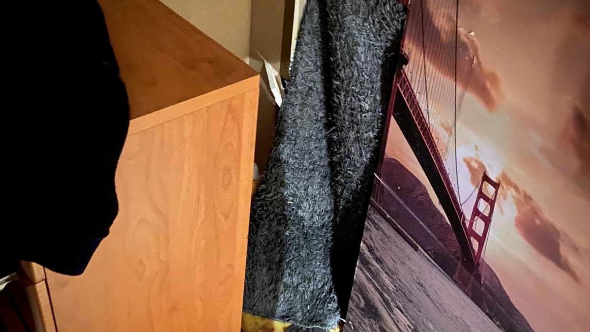 Dziura w ścianie i "tajne" przejście do osobnego pomieszczenia okazały się niewystarczające w starciu z policyjnym doświadczeniem.