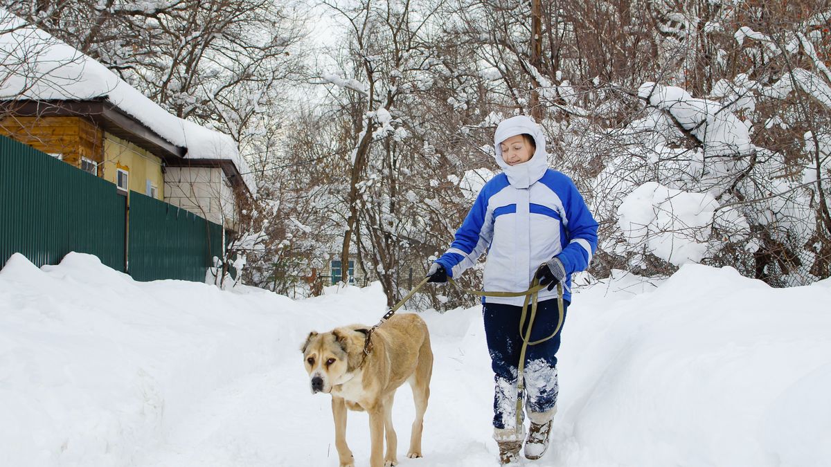 Regularne spacery z psem przynoszą szereg korzyści dla zdrowia 