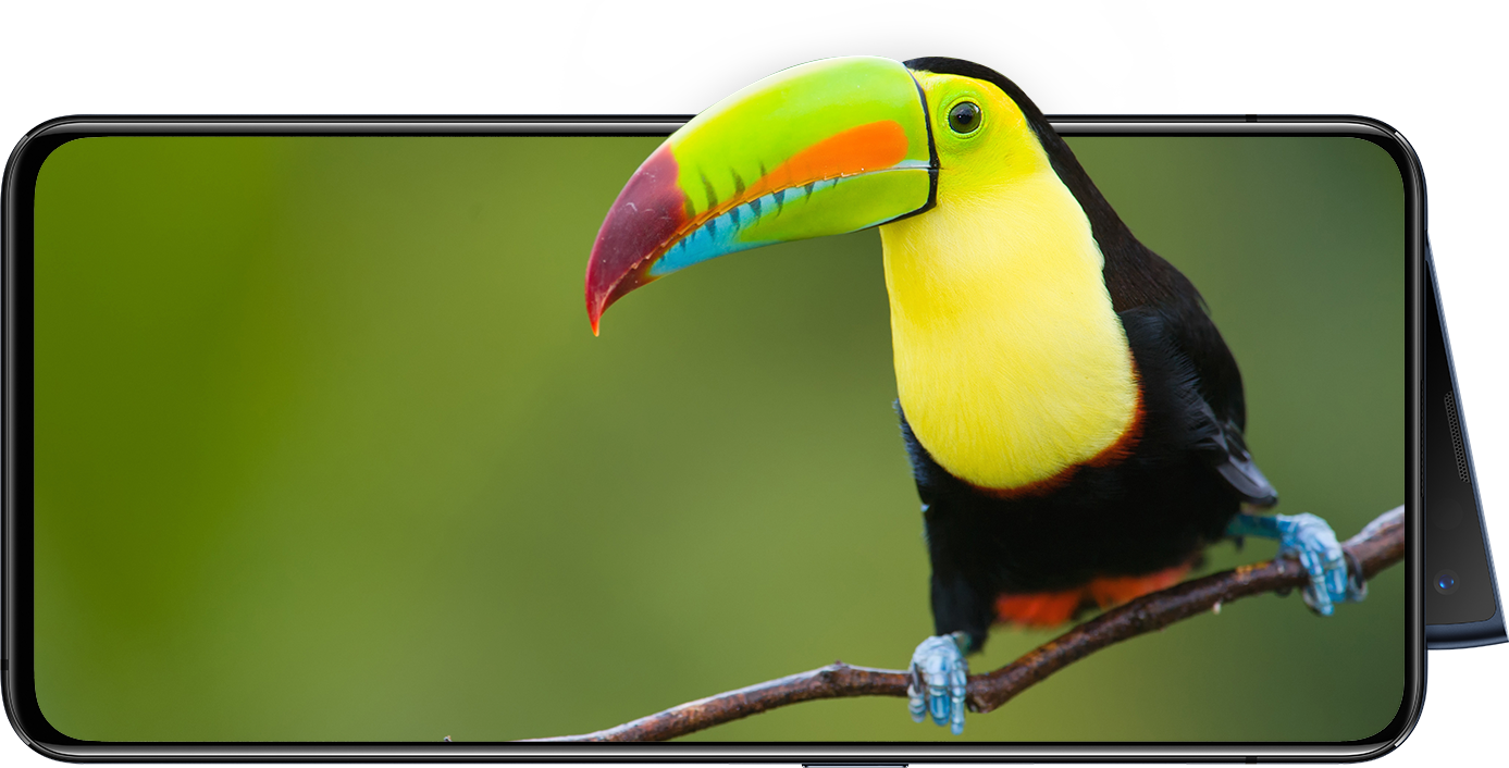 OPPO Reno2 już w Polsce. Ceny są naprawdę dobre 3