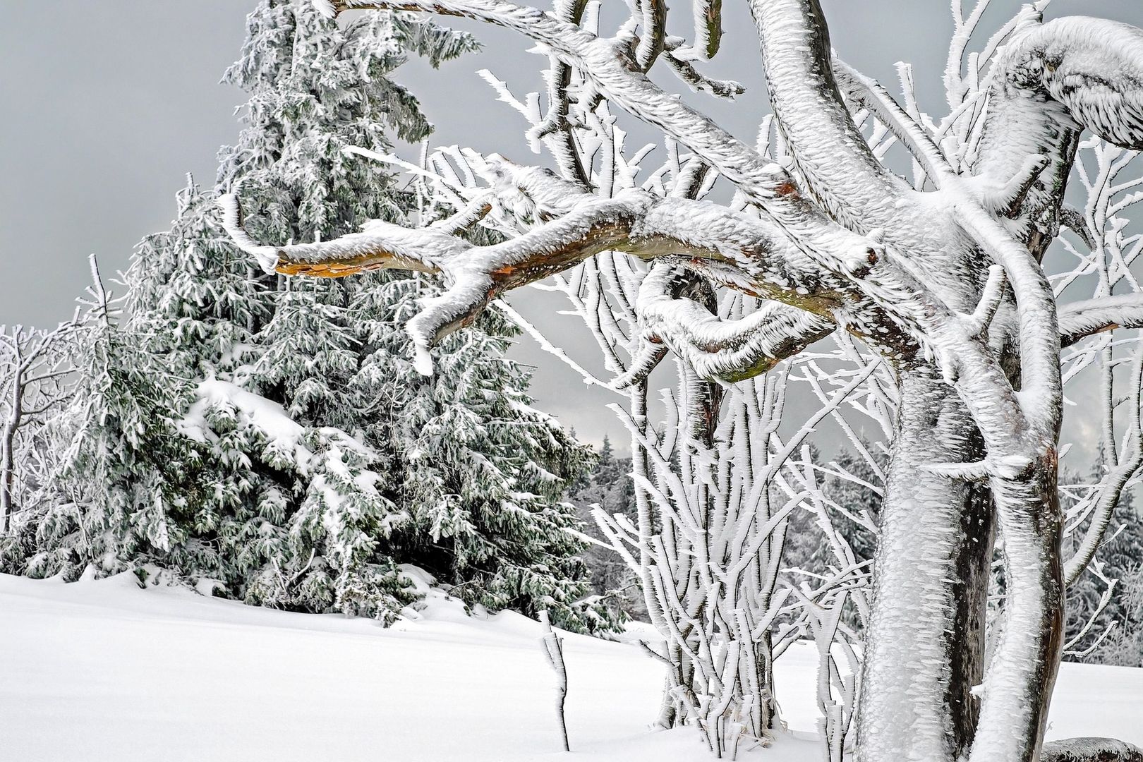 Koszmarne wieści pogodowe. Synoptycy zapowiadają śnieg i burze