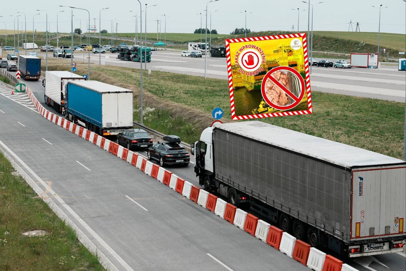 Służby przechwyciły 12 ton tuńczyka. Oto co wykryły w transporcie