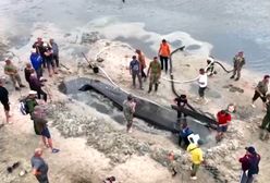 Odkrycie z dna rzeki. Wybuch tamy na Dnieprze ujawnił 500-letni wrak