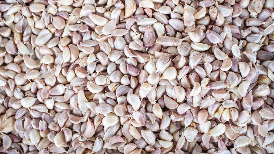 Działa antybakteryjne, przeciwwirusowo i przeciwgrzybiczo. Poznaj cenne właściwości allicyny