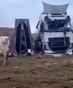 Wojna w Ukrainie. Poruszające nagranie spod Charkowa. "Denazyfikacja"