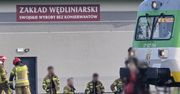 Warszawa: Szynobus uderzył w krowę. Zablokowany ruch pociągów.